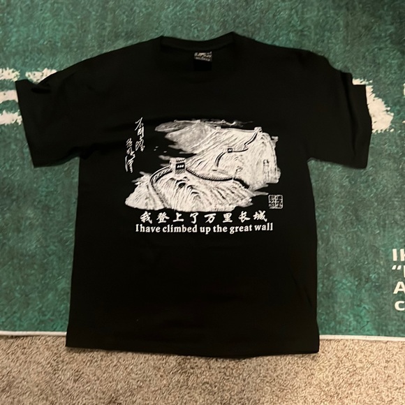 I have climbed the great wall of China Tshirt Size large - Picture 1 of 5
